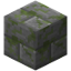 Mossy Stone Bricks